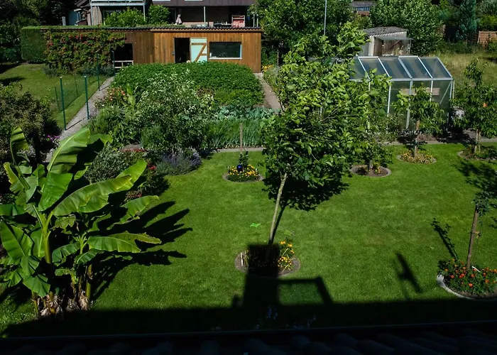 Wolf Διαμέρισμα *